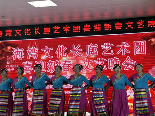 海灣文化長廊藝術團舉辦“喜迎新春”文藝晚會,共繪文化藝術交流新畫卷